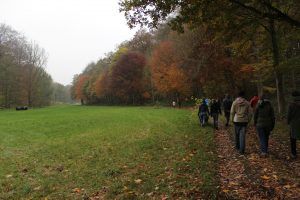 Automne