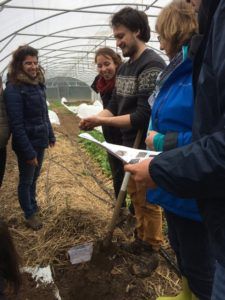 La multiplication des végétaux au potager