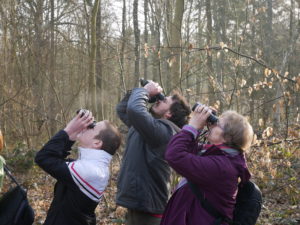 Teambuilding